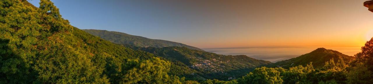 A Dream Deferred Villa Pelion Kissos  Esterno foto